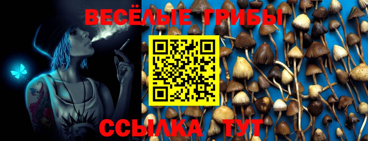 Псилоцибиновые грибы Magic Shrooms  Псилоцибиновые грибы GOLDEN TEACHER  Нижнекамск  Вход с VPN 